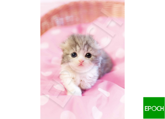 圓溜溜的眼睛 - 108塊(標準)