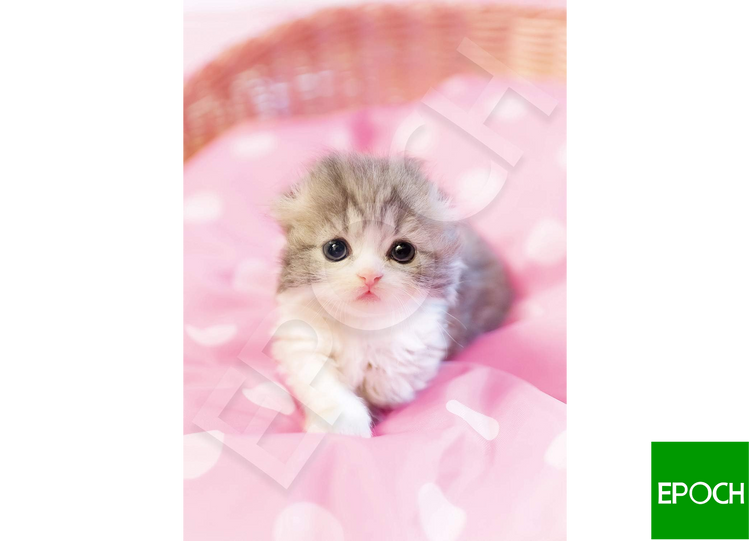 圓溜溜的眼睛 - 108塊(標準)