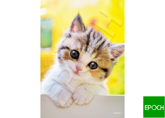 貓咪怎麼樣? - 108塊(標準)