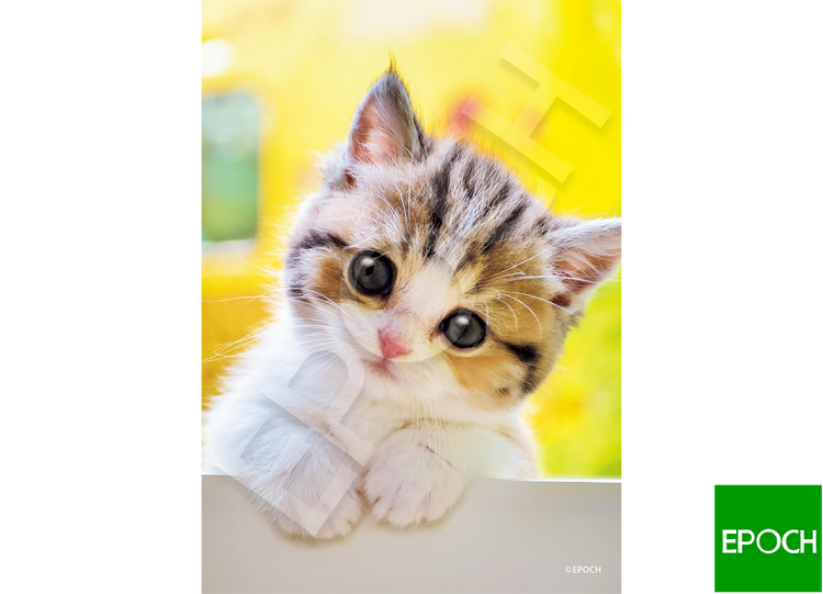 貓咪怎麼樣? - 108塊(標準)