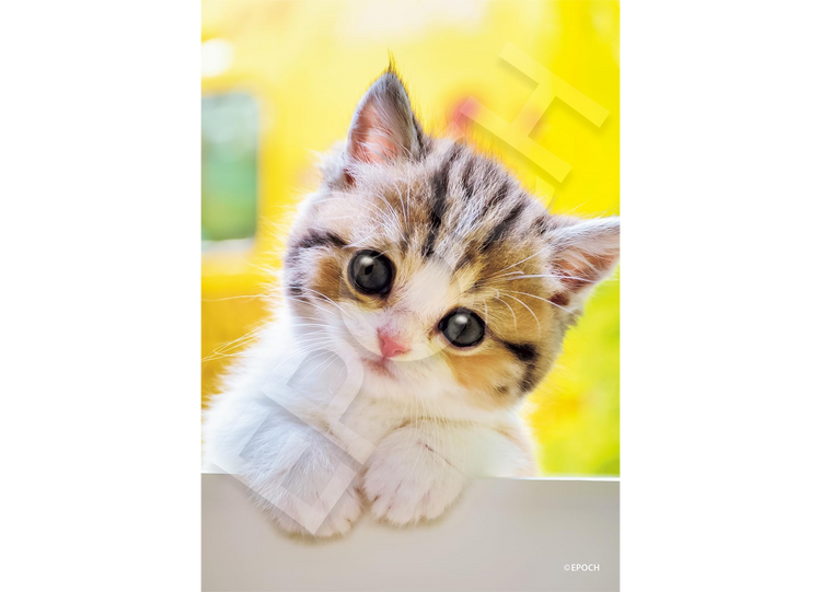 貓咪怎麼樣? - 108塊(標準)