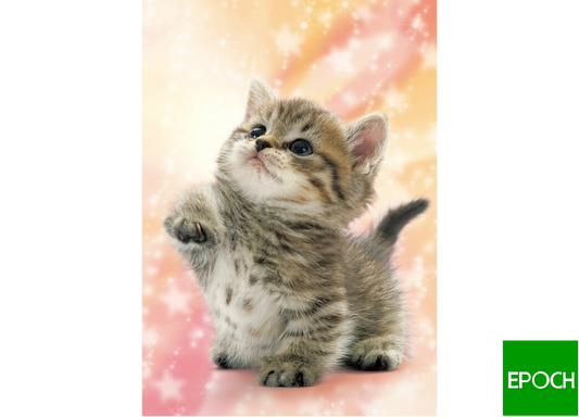 怎麼樣? - 216塊(標準)