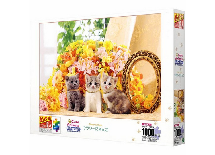 花貓 - 1000塊(標準)