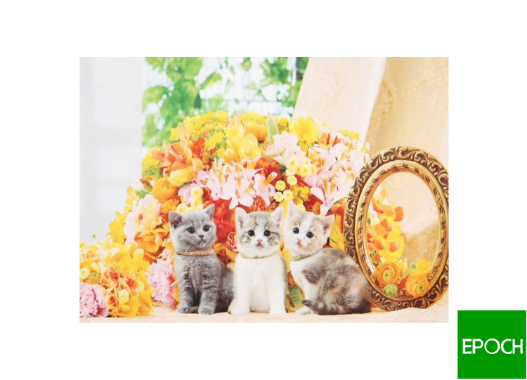 花貓 - 1000塊(標準)