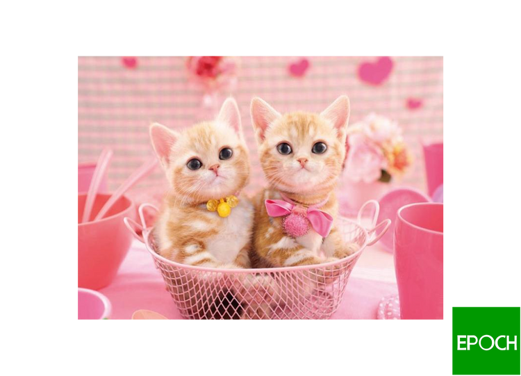 粉色貓咪 - 300塊(標準)