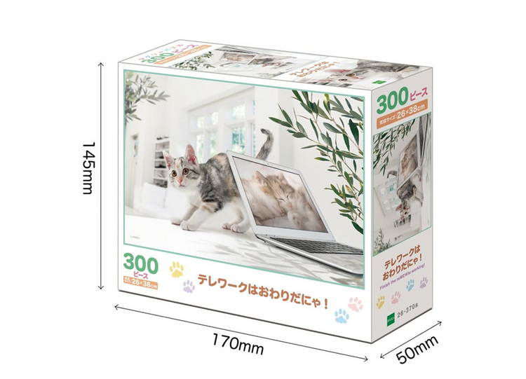 遙距工作 - 300塊(標準)