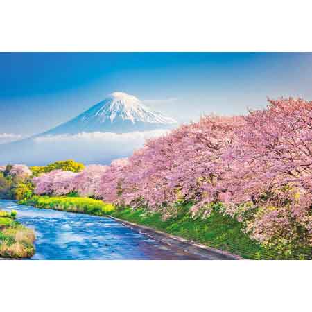 春天的櫻花樹和富士山（靜岡）- 1000(標準)塊