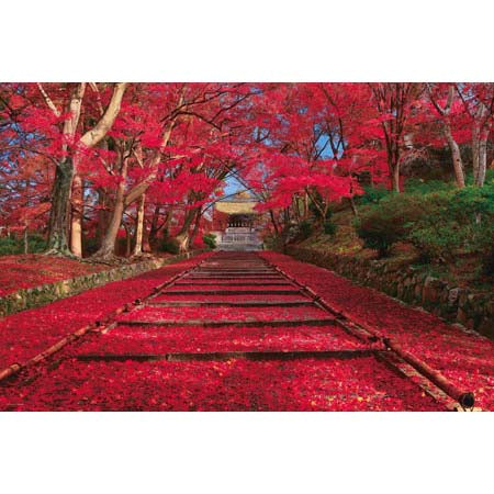 紅葉來臨（京都）- 1000(標準)塊