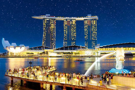 新加坡的星夜 - 1000(標準)塊[夜光]